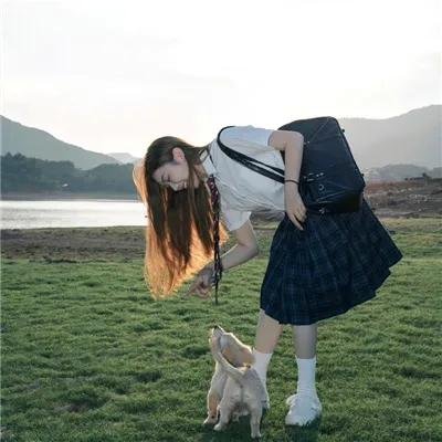 青之壬生狼