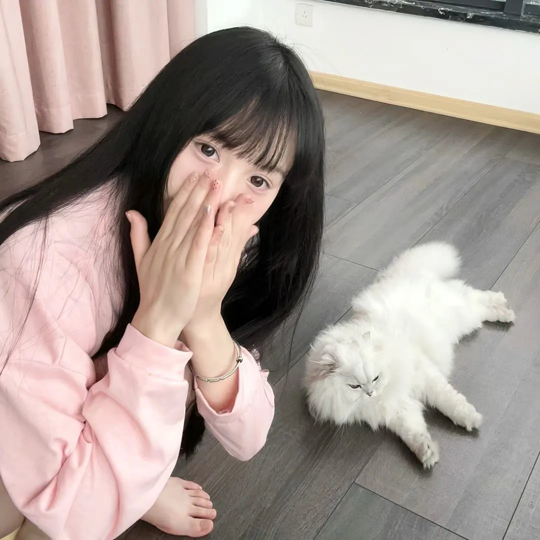 哈莱姆的郁金香